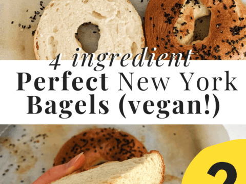 new york bagel recipe
